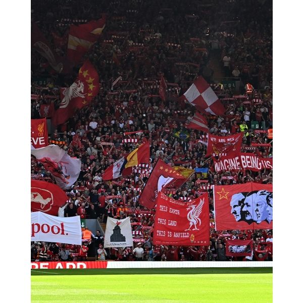 All Red Light membership voucher