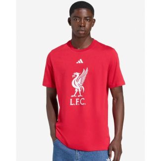 LFC adidas Mens 25/26 DNA Crest Tee Red